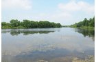 Property photo 13 - 1,025 Acres in 24 Tracts - Exellent Recreation Opportunity - Potential Building Sites - 11 Lakes & Ponds